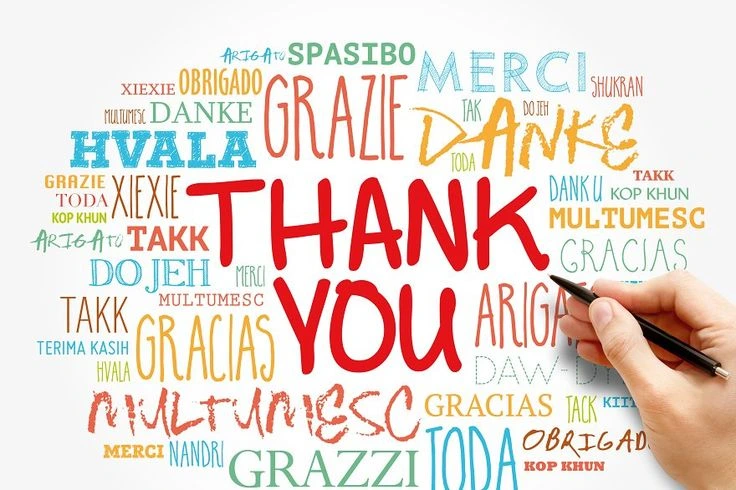 A "Thank You" word cloud graphic featuring multilingual gratitude expressions for a Rudronix Media consultation.